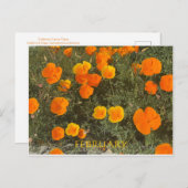 CALIFORNIA KLEURCELEBRATIE: FEBRUARI BRIEFKAART (Voorkant / Achterkant)