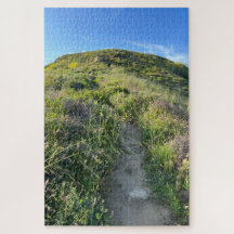 California, Laguna Beach Mountain Path to the Sky