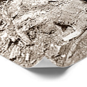 California Lumberjacks Fallen Redwood 1910 Poster (Hoek)