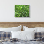 California Meadow Sedge Canvas Afdruk (Insitu (Slaapkamer))