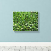 California Meadow Sedge Canvas Afdruk (Insitu (Houten vloer))
