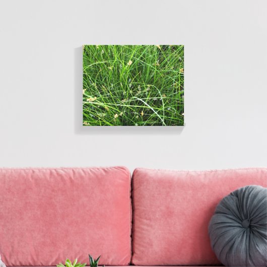 California Meadow Sedge Canvas Afdruk (Insitu (Woonkamer))