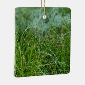 California Meadow Sedge Ceramic Ornament (Rechts)