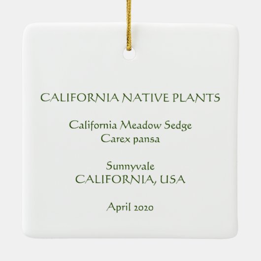 California Meadow Sedge Ceramic Ornament (Achterkant)