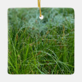 California Meadow Sedge Ceramic Ornament (Voorkant)