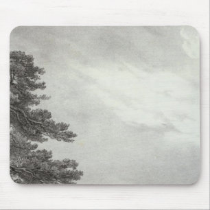 California Mission Muismat