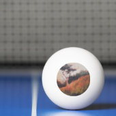 California Monterey Cypress Lone Tree Pingpongbal (Net)