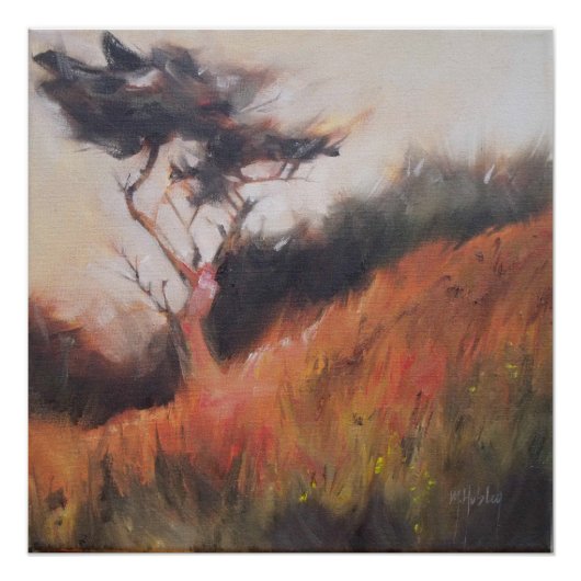 California Monterey Cypress Lone Tree Poster (Voorkant)