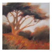 California Monterey Cypress Trees Poster (Voorkant)