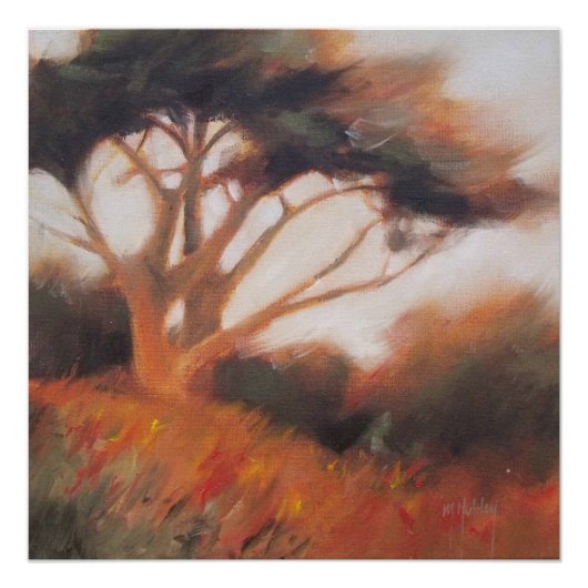 California Monterey Cypress Trees Poster (Voorkant)