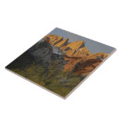 California, Mount Whitney, Inyo National Forest 3 Tegeltje (Zijkant)