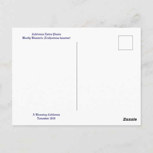 CALIFORNIA NATIVE COLORS: NOVEMBER-BRIEFKAART BRIEFKAART (Achterkant)