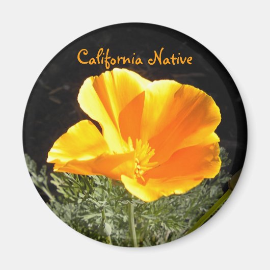 California Native Magneet (Voorkant)