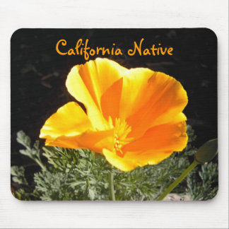 California Native Muismat