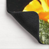 California Native Muismat (Hoek)