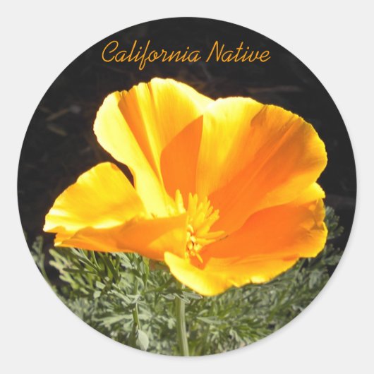California Native Ronde Sticker (Voorkant)