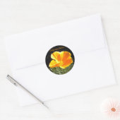 California Native Ronde Sticker (Envelop)