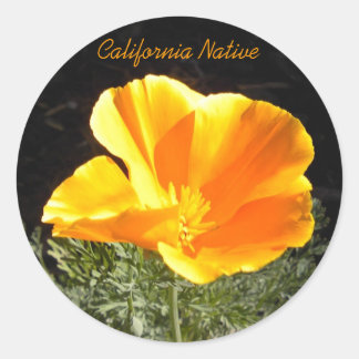 California Native Ronde Sticker