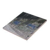 California- Nevada Border Tegeltje (Zijkant)