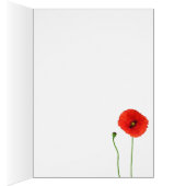 California Oranje Red Poppy Simple Beauty (Binnen (Rechts))