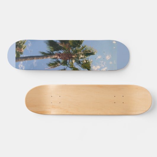 CALIFORNIA PALM TREES skateboard (Horizontaal)