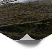 California Panoramic 12 Poster (Hoek)