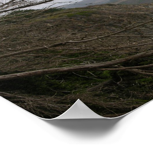 California Panoramic 12 Poster (Hoek)