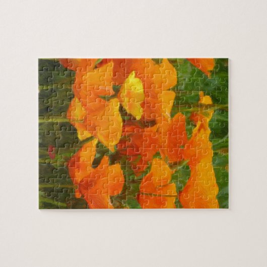 california papaver legpuzzel (Horizontaal)