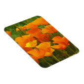 california papaver magneet (Rechterzijde)