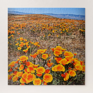 California Papoppy Fields - Flowers - 20x20 - 676  Legpuzzel