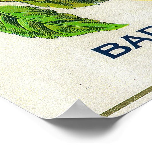 California Pear Label Poster (Hoek)