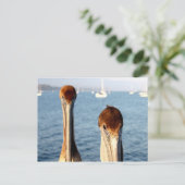 California Pelicans Briefkaart (Staand voorkant)