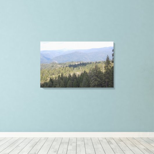 California Pine Bomen Fotografie Canvas (Insitu (Houten vloer))