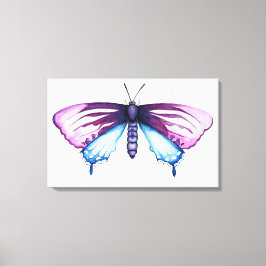 California pipevine swallowtail butterfly canvas afdruk