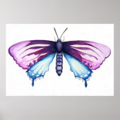 California pipevine swallowtail butterfly poster (Voorkant)