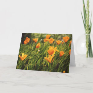 California Poppies 01 Kaart