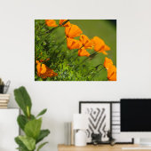 California Poppies 2011 Print (Thuiskantoor)