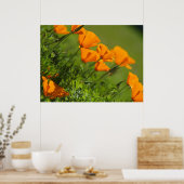 California Poppies 2011 Print (Keuken)