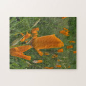 California Poppies als Buds Legpuzzel (Horizontaal)