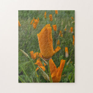 California Poppies als Buds Legpuzzel
