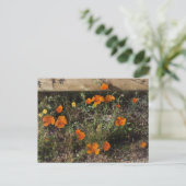 California Poppies Briefkaart (Staand voorkant)