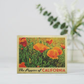 California Poppies Briefkaart (Staand voorkant)