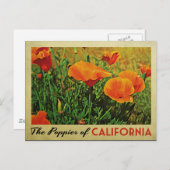 California Poppies Briefkaart (Voorkant / Achterkant)