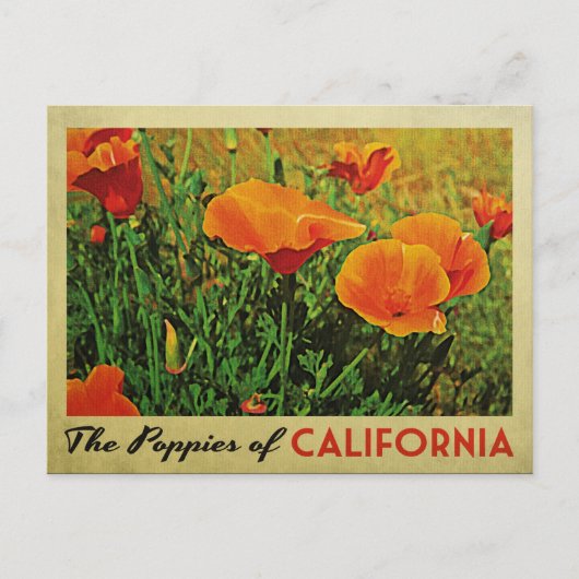 California Poppies Briefkaart (Voorkant)