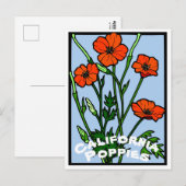 California Poppies  Briefkaart (Voorkant / Achterkant)