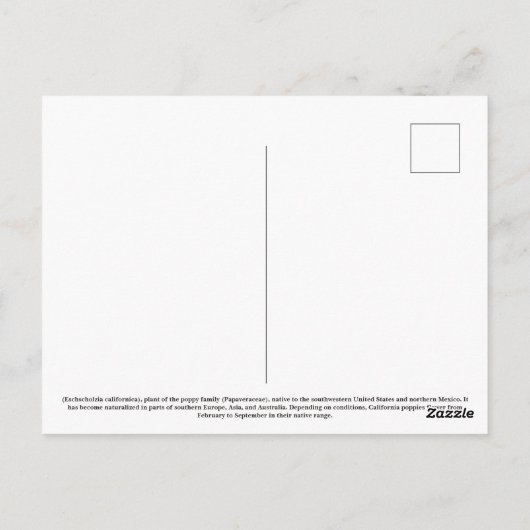 California Poppies  Briefkaart (Achterkant)