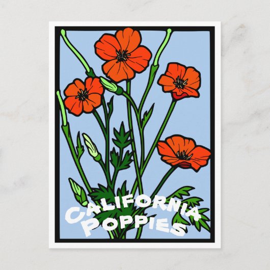 California Poppies  Briefkaart (Voorkant)