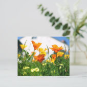 California Poppies Briefkaart (Staand voorkant)