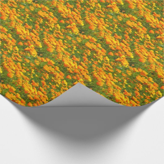California Poppies Cadeaupapier (Hoek)