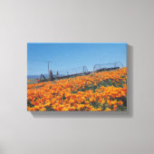 California Poppies Canvas Afdruk (Voorkant)